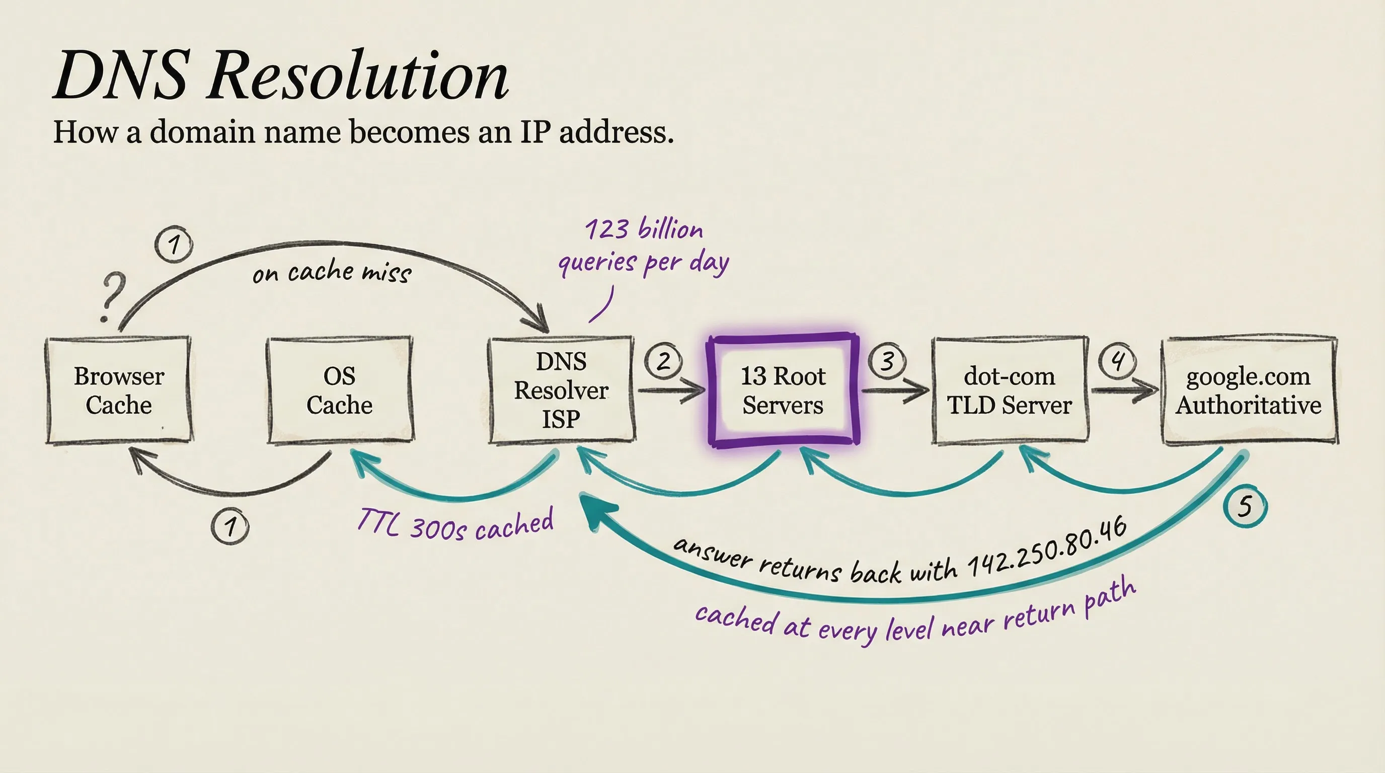 DNS resolution: how a domain name becomes an IP address