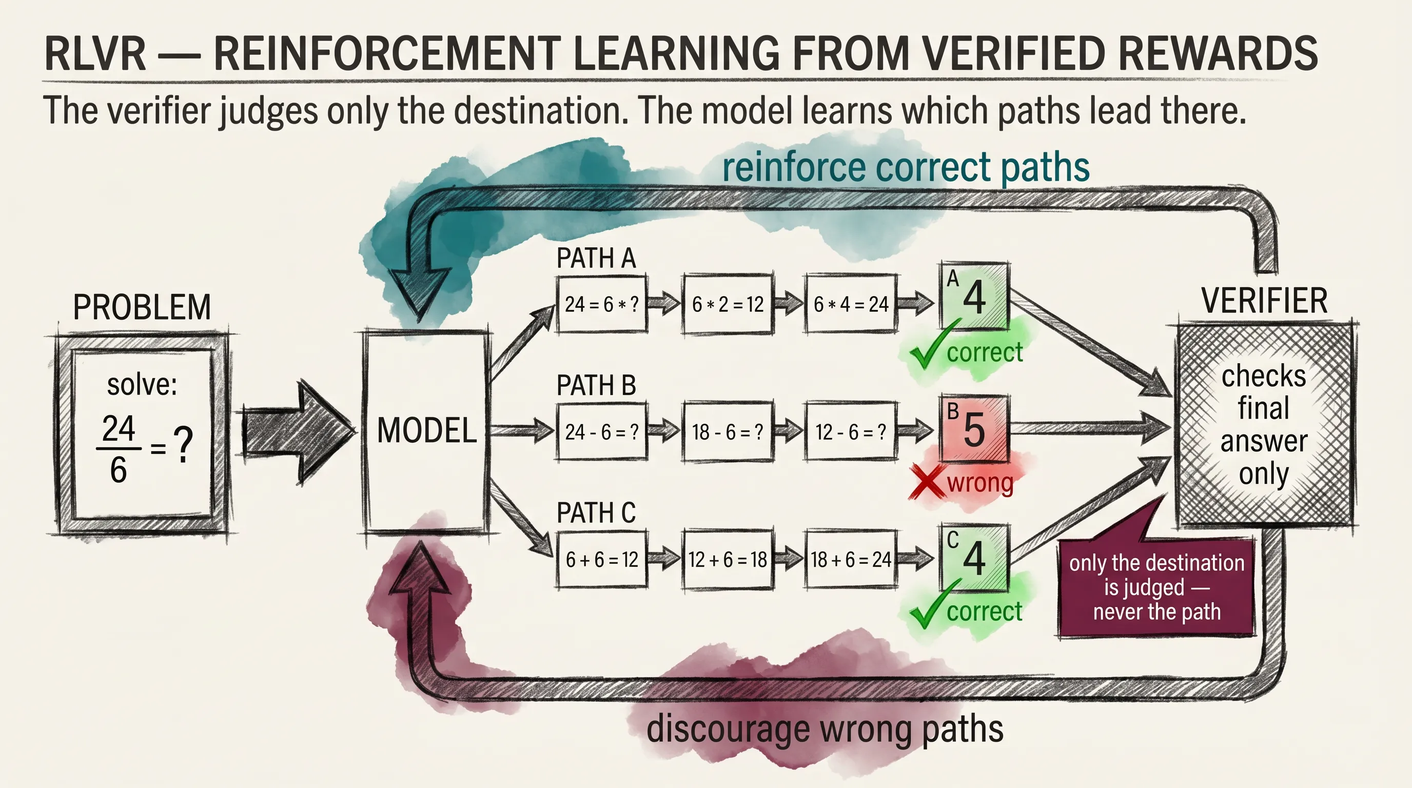 RLVR training loop: the model emits a long reasoning chain, the verifier checks only the final answer against ground truth, and correct paths reinforce while wrong paths discourage