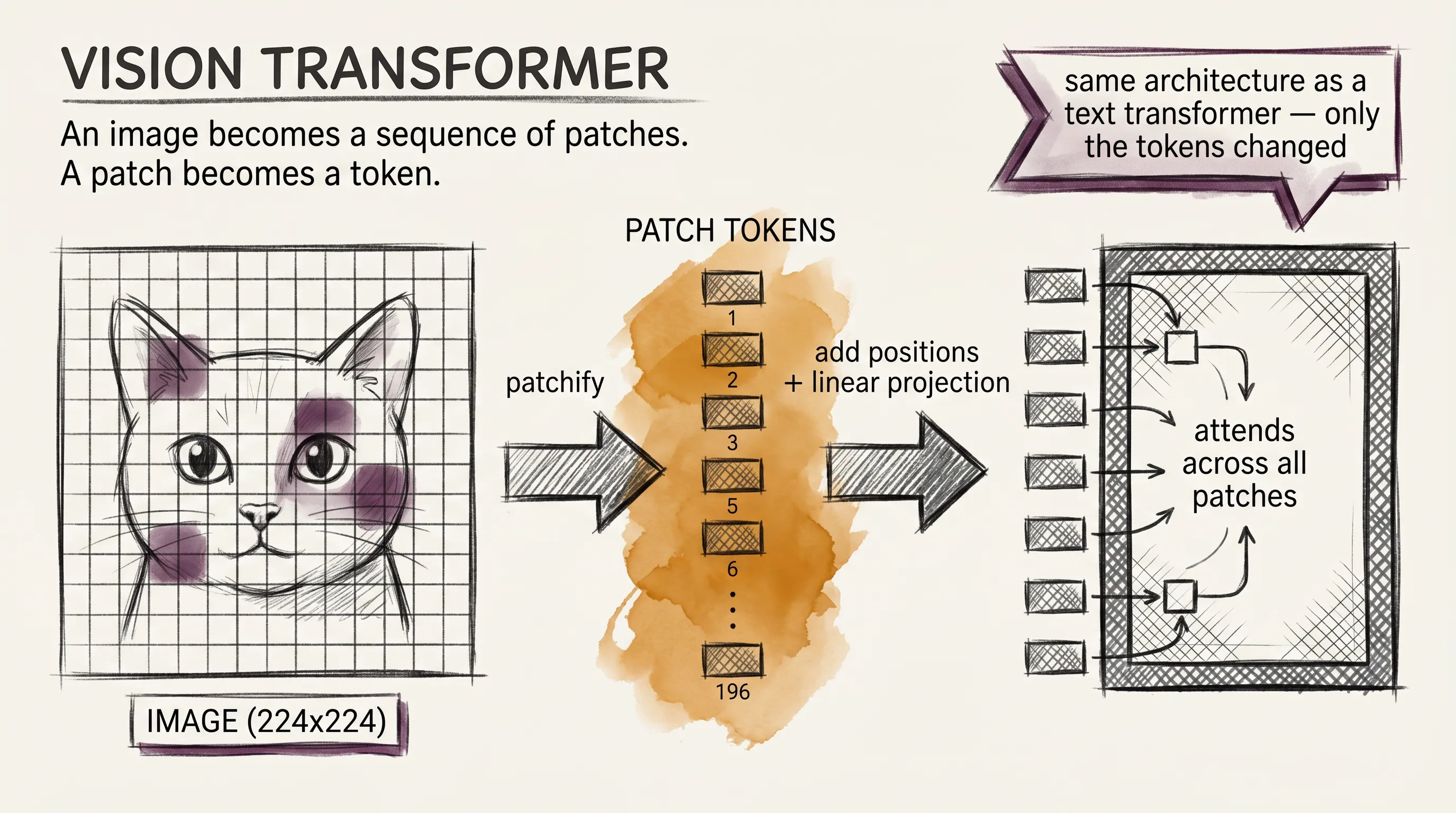 A vision transformer chops an image into 14-by-14 patches, projects each one into a vector, and feeds the resulting sequence into the same transformer that handles text tokens