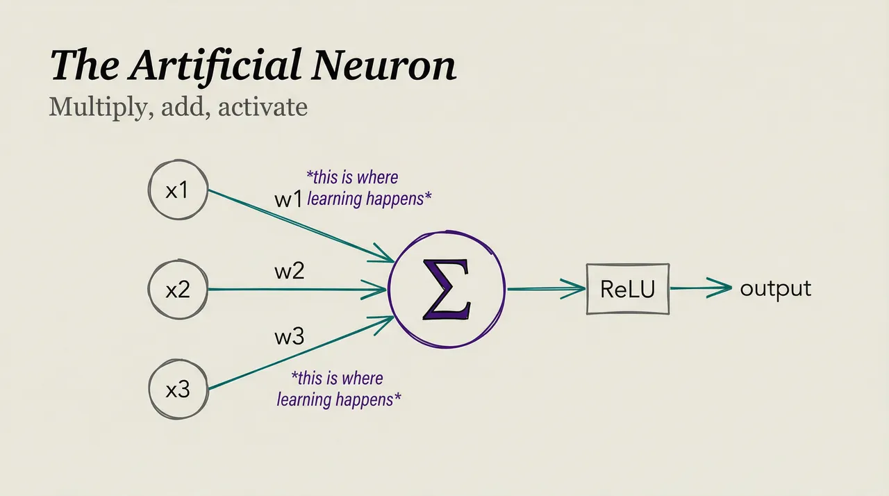 The artificial neuron: inputs, weights, summation, activation, output