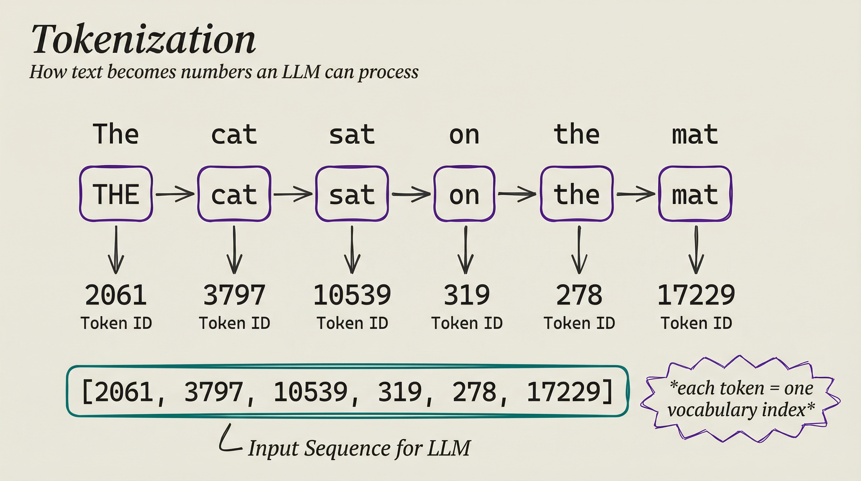 Tokenization diagram showing how a sentence becomes token IDs