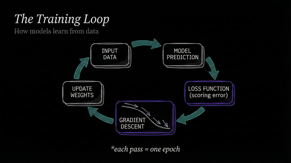 The Training Loop