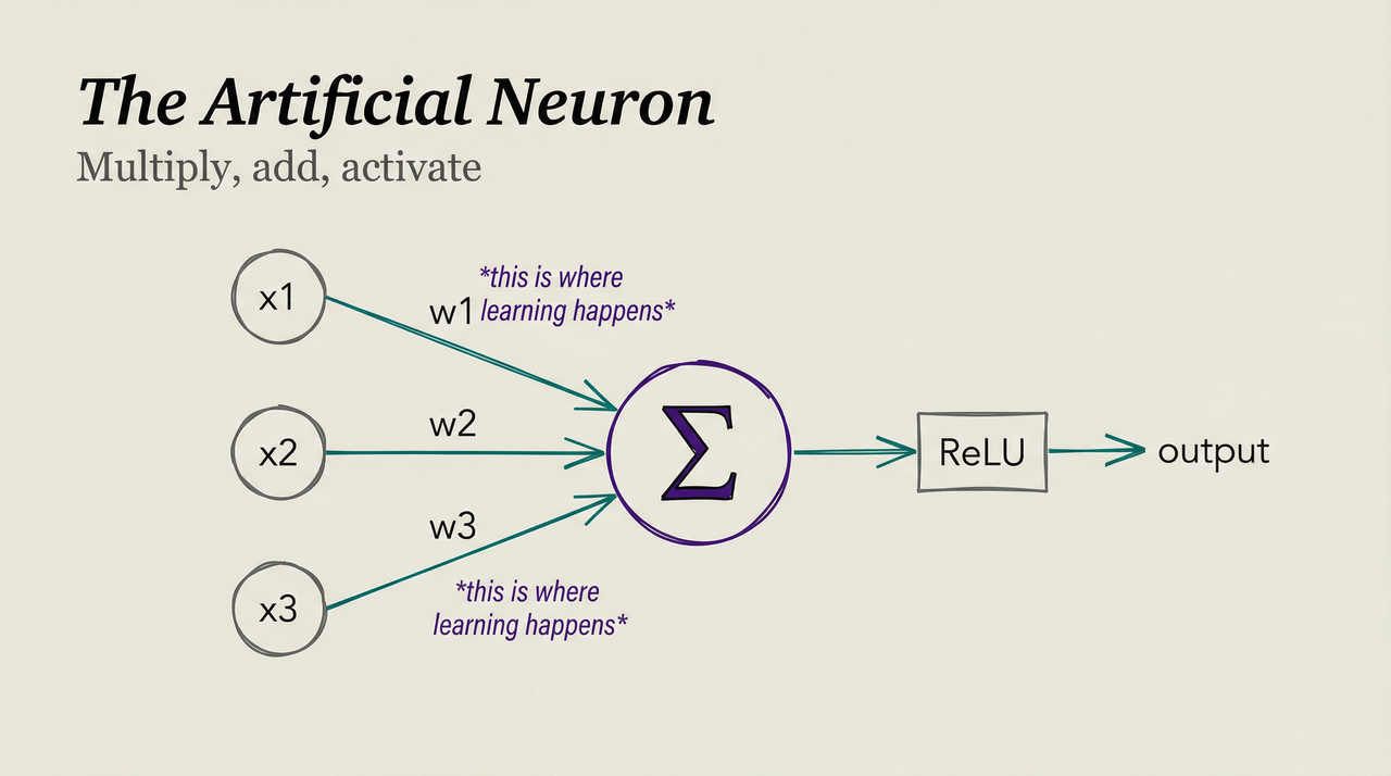 The artificial neuron: inputs, weights, summation, activation, output